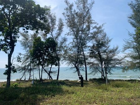 ขาย ที่ดิน ติดทะเลคลองใหญ่ 220 ตร.วา หาดทรายขาว เดินลงหาดจากหน้าบ้านได้เลย รูปที่ 6