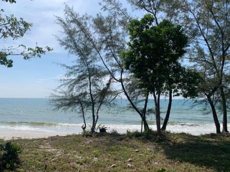 ขาย ที่ดิน ติดทะเลคลองใหญ่ 220 ตร.วา หาดทรายขาว เดินลงหาดจากหน้าบ้านได้เลย รูปที่ 11