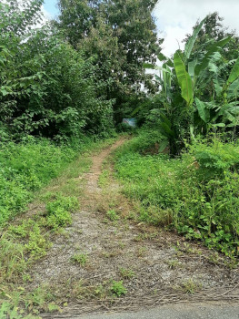 ขาย ที่ดินเปล่า ติดถนนใหญ่ ลาดยาง อำเภอสอง จังหวัดแพร่ รูปที่ 6