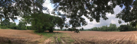 ขาย ที่ดินเปล่า สี่แยกน้ำอ่าง-ทองแสนขัน อำเภอตรอน อุตรดิตถ์ รูปที่ 2