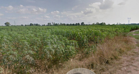 ขายที่ดิน เปล่า 33 ไร่ เพื่อทำการเกษตร ตากฟ้า นครสวรรค์ รูปที่ 5