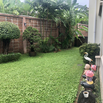 ขายบ้านเดี่ยว หมู่บ้านคาซ่าวิลล์ (รามคำแหง-วงแหวน) ซอยมิสทีน โครงการ Q House รูปที่ 11