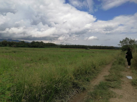 ขาย ที่ดินเปล่า ติดถนนใหญ่ ลาดยาง อำเภอสอง จังหวัดแพร่ รูปที่ 2