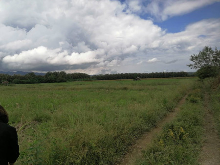 ขาย ที่ดินเปล่า ติดถนนใหญ่ ลาดยาง อำเภอสอง จังหวัดแพร่ รูปที่ 5