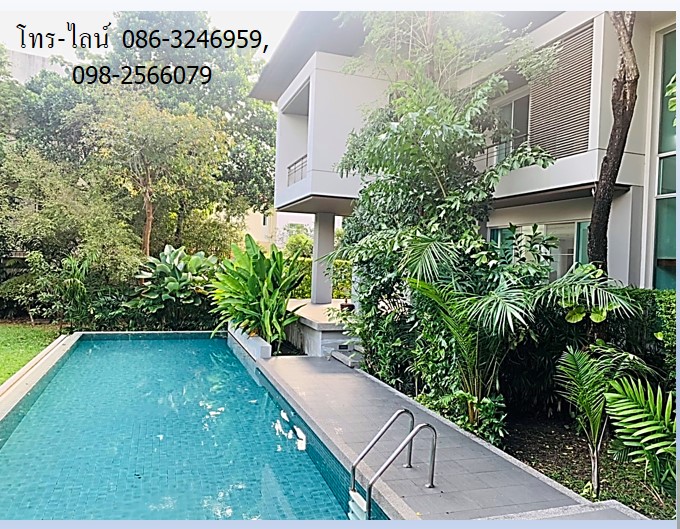 ขาย/ให้เช่าบ้านเดี่ยว ม.นิชดา ปาร์ค ถ.สามัคคี 619 วา 5 นอน 8 น้ำ พร้อมสระว่ายน้ำ ใกล้ ISB  รูปที่ 7