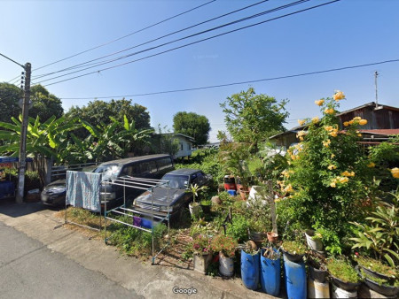 ขาย ที่ดิน ถูกมาก ที่ดิน 60 ตร.วา ผังเมืองสีเหลือง. รูปที่ 3