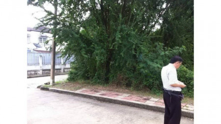 ขายที่ดินปทุมธานี คลองหลวง คลองหนึ่ง พื้นที่จัดสรรในหมู่บ้าน รูปที่ 4