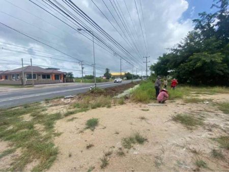ขาย ที่ดิน ถมแล้ว 2 แปลงติดกัน ต.หนองยาง อ.หนองฉาง อุทัยธานี เนื้อที่รวม 1 ไร่ 1 งาน 39 ตร.วา ติดถนนใหญ่ สาย 333 รูปที่ 3