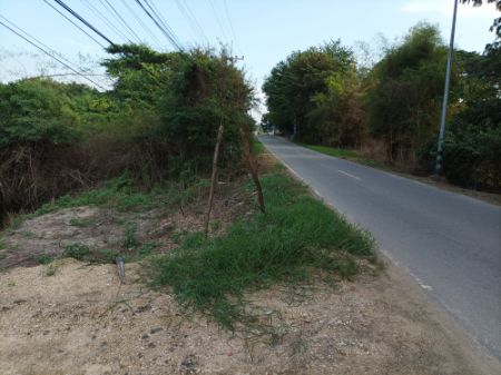ขาย ที่ดิน แบ่งล๊อคขาย ต.บางโขมด อ.บ้านหมอ สระบุรี เนื้อที่ 100 ตร.วา พร้อมขยายเขต น้ำ-ไฟ เหลือไม่มากแล้ว รูปที่ 4