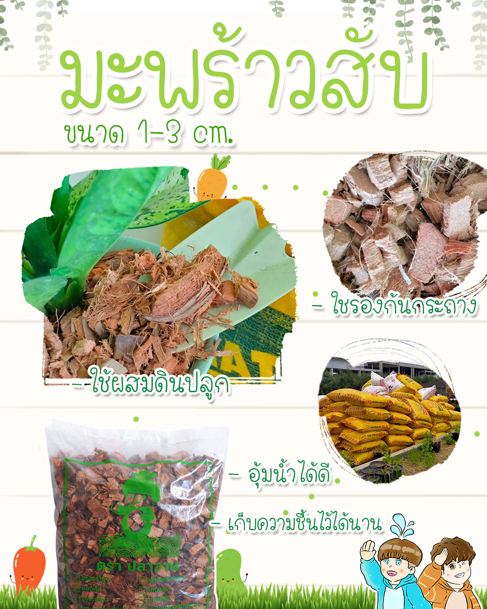 มะพร้าวสับ  รูปที่ 7