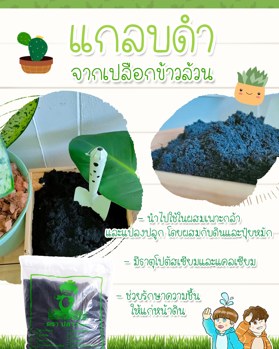 แกลบดำ  รูปที่ 7