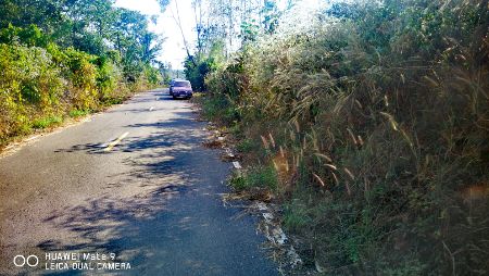 ขาย ที่ดิน ติดถนน วิวสวย 100 ตร.วา ต.ผาสิงห์ เมืองน่าน รูปที่ 4