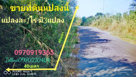 ขาย ที่ดิน ติดถนน วิวสวย 100 ตร.วา ต.ผาสิงห์ เมืองน่าน รูปที่ 2
