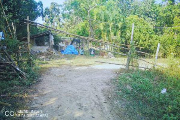 ขาย ที่ดิน อ.ภูเพียง น่าน 3 ไร่ 74 ตร.วา ติดอ่างเก็บน้ำ ใกล้ถนน Highway รูปที่ 9