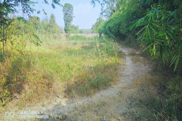 ขาย ที่ดิน อ.ภูเพียง น่าน 3 ไร่ 74 ตร.วา ติดอ่างเก็บน้ำ ใกล้ถนน Highway รูปที่ 11