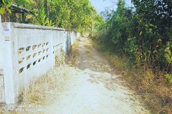 ขาย ที่ดิน อ.ภูเพียง น่าน 3 ไร่ 74 ตร.วา ติดอ่างเก็บน้ำ ใกล้ถนน Highway รูปที่ 8