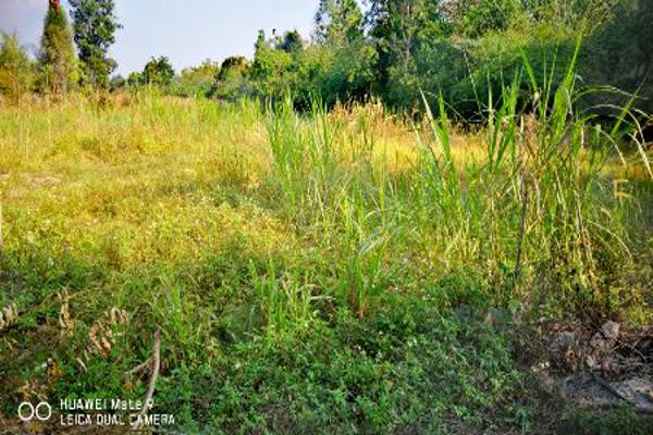 ขาย ที่ดิน อ.ภูเพียง น่าน 3 ไร่ 74 ตร.วา ติดอ่างเก็บน้ำ ใกล้ถนน Highway รูปที่ 10