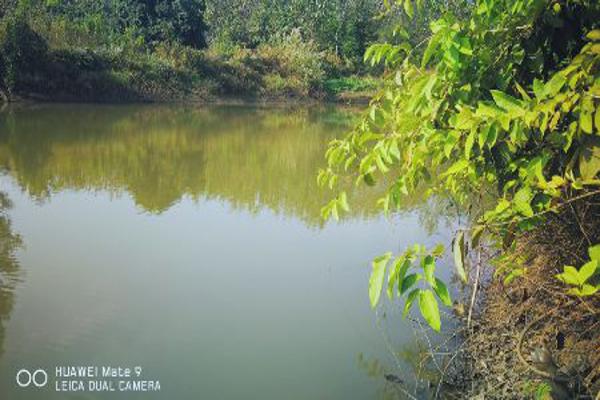 ขาย ที่ดิน อ.ภูเพียง น่าน 3 ไร่ 74 ตร.วา ติดอ่างเก็บน้ำ ใกล้ถนน Highway รูปที่ 2