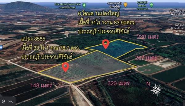 ขาย ที่ดินเปล่า 64-3-62.6 ไร่ ต.วังก์พง อ.ปราณบุรี รูปที่ 1