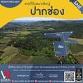 รหัสทรัพย์ 183 ขายที่ดินปากช่อง  60-3-31 ไร่ เหมาะสำหรับการสร้างรีสอร์ท, สถานที่ท่องเที่ยว, ที่พักส่วนตัว