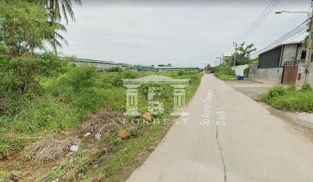 ขาย ที่ดิน รหัส 41524 พิกัด ท่าข้าม อนามัยงามเจริญ บางขุนเทียน พุทธบูชา เนื้อที่ 5 ไร่ 0 งาน 19 ตร.วา เหมาะสำหรับ ลงทุน โกดัง จัดสรร รูปที่ 3