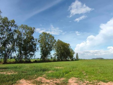 ขาย ที่ดิน วิวเขาสวย 360 องศาท่าม่วง 11 ไร่ 1 งาน 68.2 ตร.วา โฉนดครุฑแดง น้ำ ไฟพร้อม รูปที่ 2
