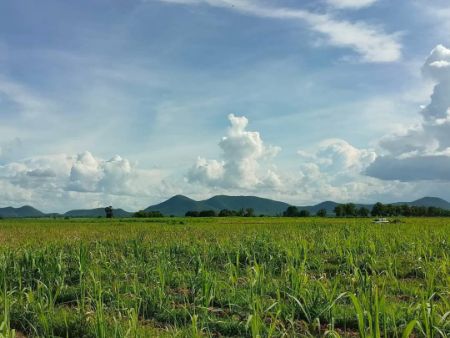 ขาย ที่ดิน วิวเขาสวย 360 องศาท่าม่วง 11 ไร่ 1 งาน 68.2 ตร.วา โฉนดครุฑแดง น้ำ ไฟพร้อม รูปที่ 8