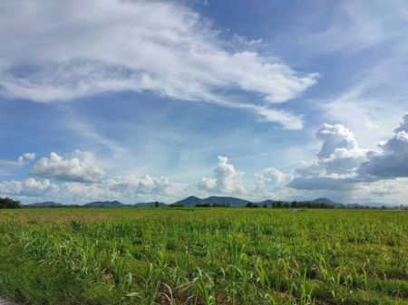 ขาย ที่ดิน วิวเขาสวย 360 องศาท่าม่วง 11 ไร่ 1 งาน 68.2 ตร.วา โฉนดครุฑแดง น้ำ ไฟพร้อม รูปที่ 5