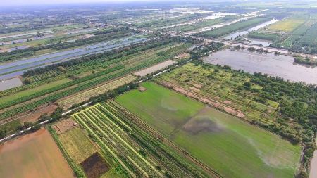 ขาย ที่ดิน น้ำไฟไม่ไกลติดถนนคอนกรีตคลอง 13 100 ตร.วา เหมาะสำหรับสร้างที่พักที่อยู่อาศัย บ้านพักตากอากาศ รูปที่ 5