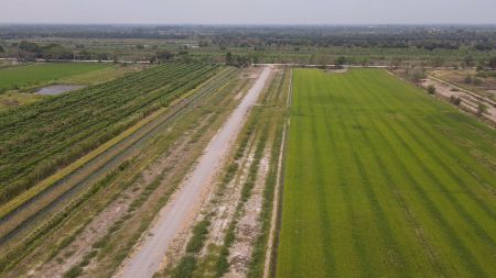 ขาย ที่ดิน น้ำไฟไม่ไกลติดถนนคอนกรีตคลอง 13 100 ตร.วา เหมาะสำหรับสร้างที่พักที่อยู่อาศัย บ้านพักตากอากาศ รูปที่ 6
