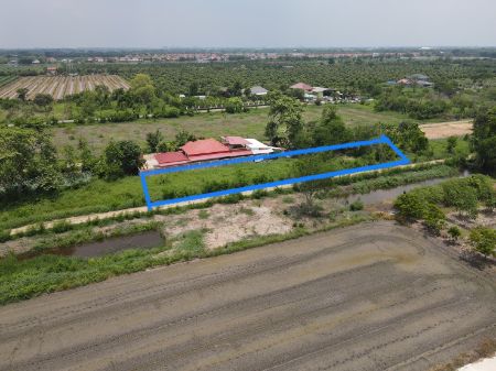 ขาย ที่ดิน ทำเลทองเนื้อที่ 1ไร่ทำเลทอง 1 ไร่ ฟรีโอน ใกล้แหล่งความเจริญ รูปที่ 2