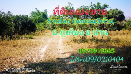 ขาย ที่ดิน แบ่งขาย5แปลง ติดถนน3ด้าน 17 ไร่ 169 ตร.วา อ.ภูเพียง จ.น่านนส รูปที่ 4