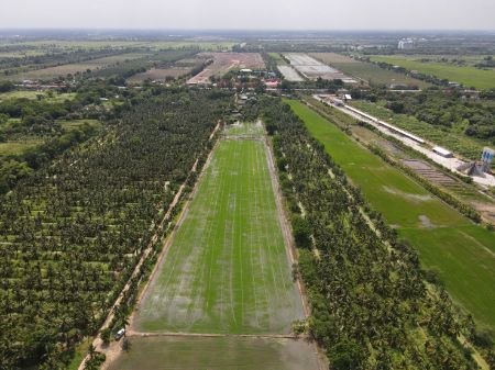 ขาย ที่ดิน ทำเลทองคลอง 10 5 ไร่ 2 งาน 57 ตร.วา โฉนด นส.4 จ พร้อมฟรีค่าโอน รูปที่ 6