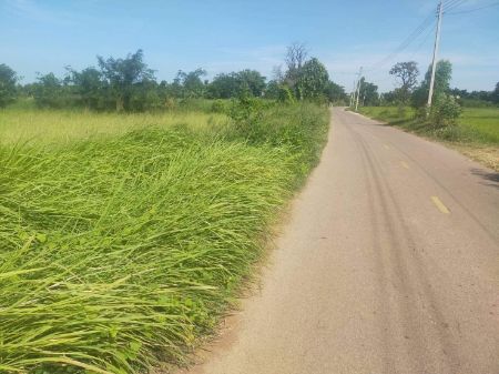 ขาย ที่ดิน ต้องการขายด่วนต.พระบุ อ.พระยืน จ.ขอนแก่น 7 ไร่ 3 งาน 88.5 ตร.วา ใกล้สถานที่ราชการ รูปที่ 4