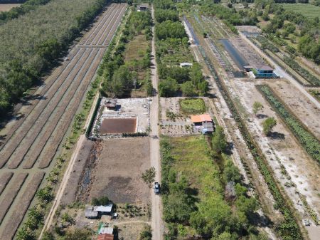 ขาย ที่ดิน แบ่งขายที่ดิน น้ำไฟพร้อมคลอง 11 100 ตร.วา ที่ดินหน้ากว้างติดถนนสาธารณะ 12.5 เมตร ลึก 30 เมตร รูปที่ 6