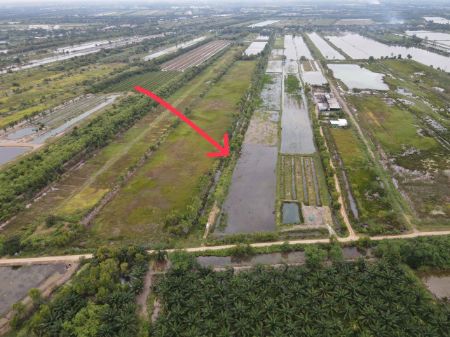 ขาย ที่ดิน แปลงเกษตรไว้ทำบ้านสวนวิหารแดง 1 ไร่ ห่างน้ำไฟประมาณ 600 เมตร รูปที่ 4