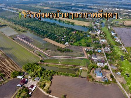 ขาย ที่ดิน นครนายกเฟส2เงินผ่อนบ้านนา 100 ตร.วา ผ่อนง่าย ไม่มีดอกเบี้ย รูปที่ 4