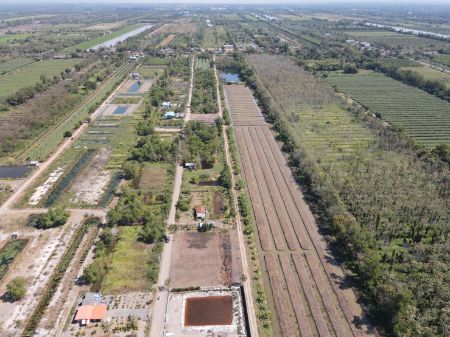 ขาย ที่ดิน แบ่งขายที่ดิน น้ำไฟพร้อมคลอง 11 100 ตร.วา ที่ดินหน้ากว้างติดถนนสาธารณะ 12.5 เมตร ลึก 30 เมตร รูปที่ 4