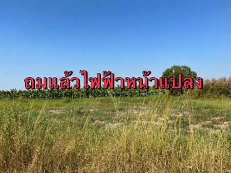 ขาย ที่ดิน วิวสวยคลอง 13 200 ตร.วา หน้ากว้าง 25 เมตร ยาว 32 เมตร รูปที่ 2