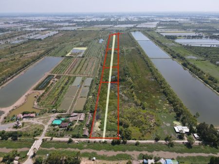 ขาย ที่ดิน ที่ดินแปลงเกษตรราคาถูกแบ่ง 3 ไร่ขึ้นไปบ้านนา 1 ไร่ ฟรีค่าโอนภาษี รูปที่ 4