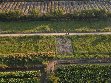 ขาย ที่ดิน วิวสวยคลอง 13 200 ตร.วา หน้ากว้าง 25 เมตร ยาว 32 เมตร รูปที่ 4