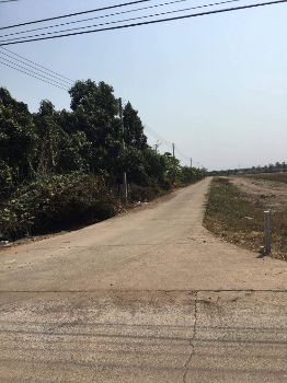 ขาย ที่ดิน โฉนดครุฑแดง พร้อมโอนบางคล้า 8 ไร่ 2 งาน 79 ตร.วา ทำเลสวย มีถนนสาธารณะเข้าถึงสุดแปลง รูปที่ 4