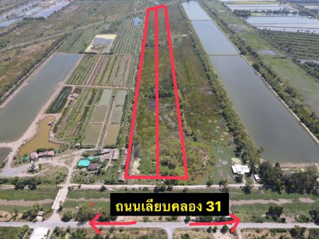 ขาย ที่ดิน ที่ดินแปลงเกษตรราคาถูกแบ่ง 3 ไร่ขึ้นไปบ้านนา 1 ไร่ ฟรีค่าโอนภาษี รูปที่ 5