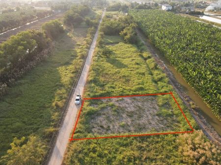 ขาย ที่ดิน วิวสวยคลอง 13 200 ตร.วา หน้ากว้าง 25 เมตร ยาว 32 เมตร รูปที่ 5