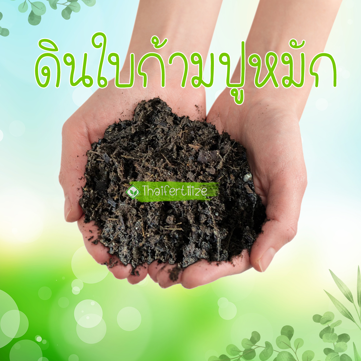 ใบก้ามปูล้วน 100% หมักอินทรีย์  รูปที่ 4