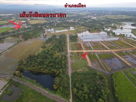 ขาย ที่ดิน วิวธรรมชาติล้อมรอบ สำหรับทำบ้านสวนเกษตรพรหมณี 1 ตร.วา ฟรีค่าโอนค่าภาษี รูปที่ 2