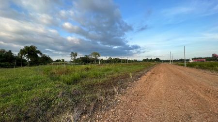 ขาย ที่ดิน วิวธรรมชาติล้อมรอบ สำหรับทำบ้านสวนเกษตรพรหมณี 1 ตร.วา ฟรีค่าโอนค่าภาษี รูปที่ 6