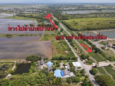 ขาย ที่ดิน ที่ดินแปลงเกษตรราคาถูกแบ่ง 3 ไร่ขึ้นไปบ้านนา 1 ไร่ ฟรีค่าโอนภาษี รูปที่ 2