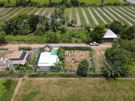 ขาย ที่ดิน พร้อมบ้านสวนเกษตรบ้านสวนเกษตร 100 ตร.วา อยู่ในแหล่งชุมชน ฟรีโอน รูปที่ 1