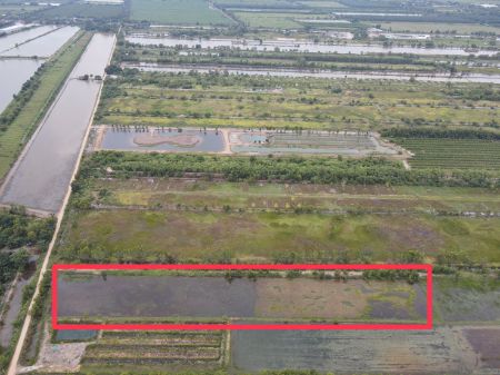 ขาย ที่ดิน แปลงเกษตรไว้ทำบ้านสวนวิหารแดง 1 ไร่ ห่างน้ำไฟประมาณ 600 เมตร รูปที่ 5